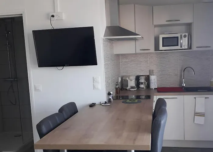 Sur Le Port D'arcachon Proche Plages Arcachon