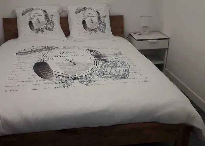 Sur Le Port D'arcachon Proche Plages Appartement *